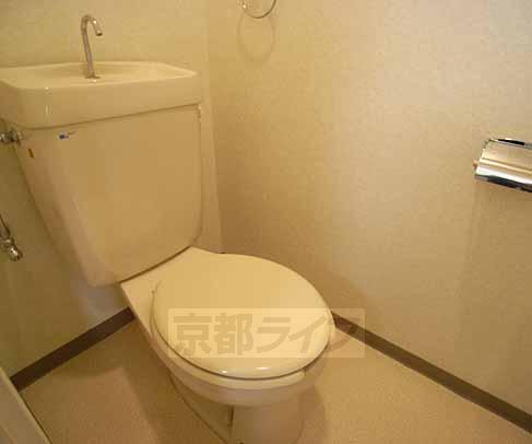 Toilet. toilet.