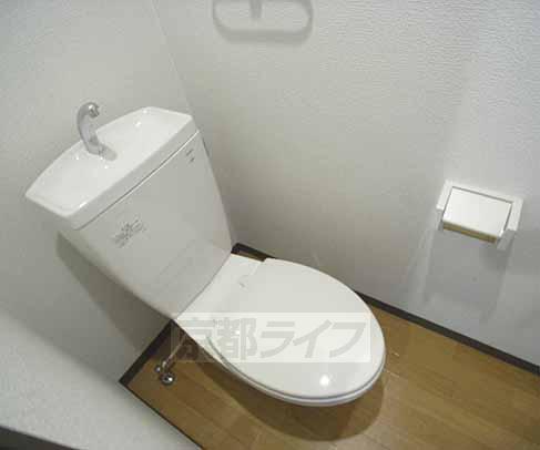 Toilet. Beautiful toilet. Flow toilet separate type.