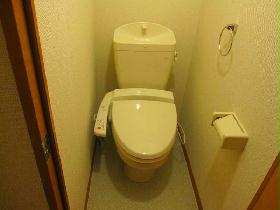 Toilet. It comes with warm water cleaning toilet seat.