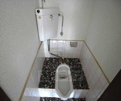Toilet. Japanese style toilet.