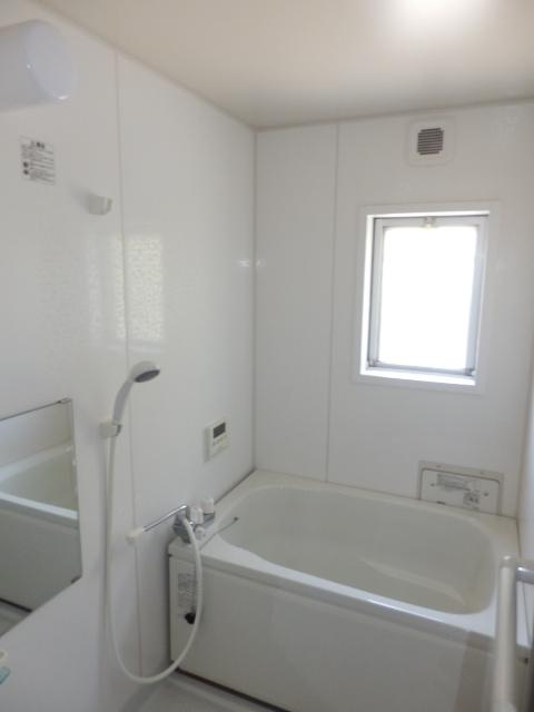 Bathroom. Room (May 2013) Shooting