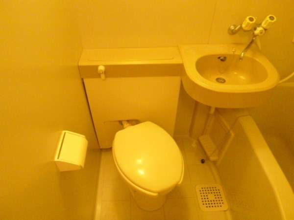 Toilet