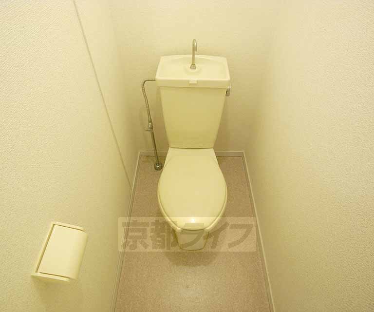 Toilet. 3-A photo diversion