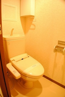 Toilet. Toilet