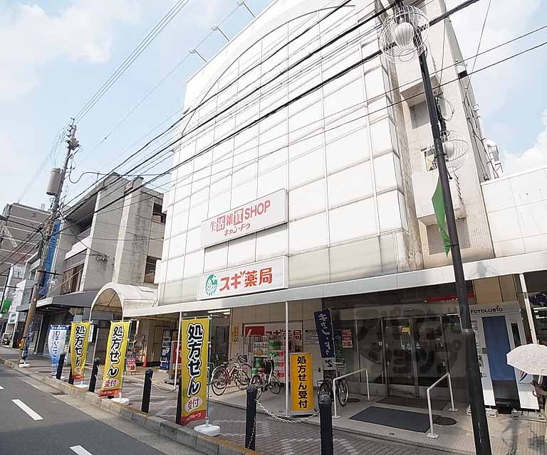 Dorakkusutoa. 50m to cedar pharmacy Senbon store (drugstore)