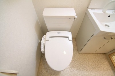 Toilet. Isomorphic Mansion Type Image