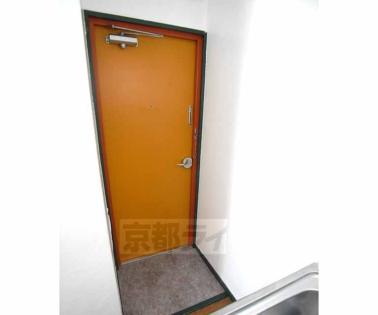 Entrance. Fashionable color door of