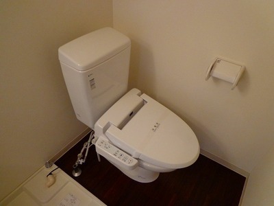 Toilet. The series type room reference image