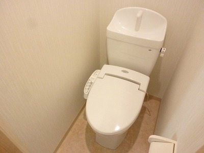 Toilet. The series image photo