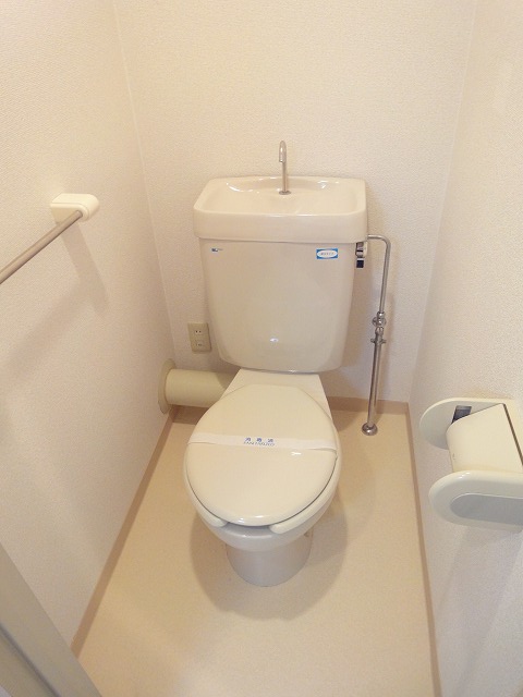 Toilet. (A photograph of the same type by Room No.)