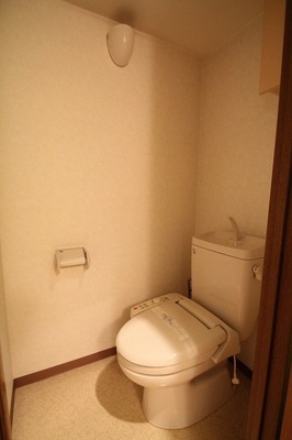 Toilet. Toilet