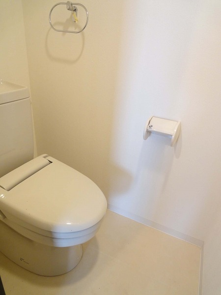 Toilet. Also it comes with a towel rack.