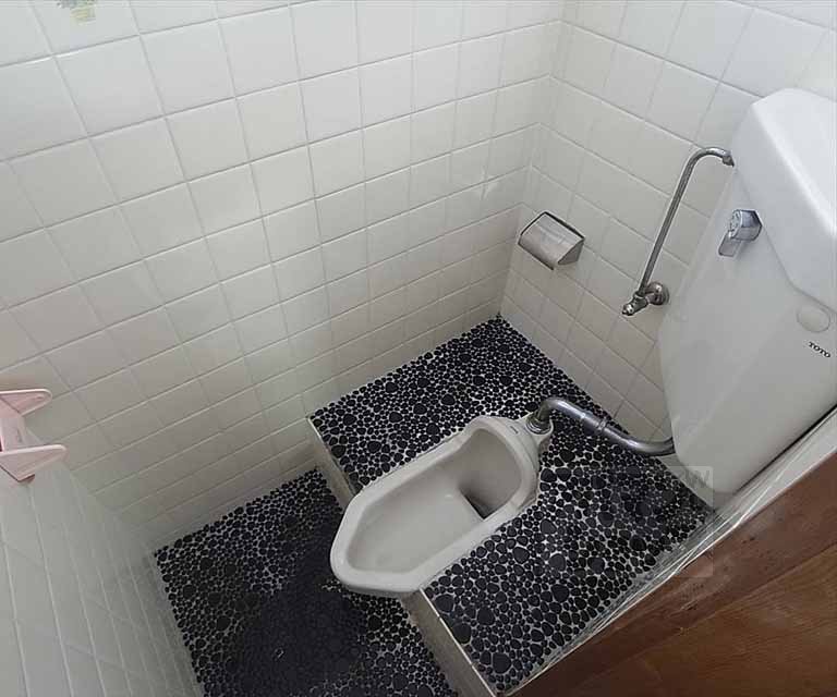 Toilet. Japanese-style toilet