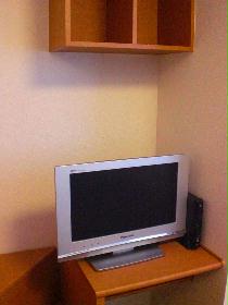 Living and room. Flat-screen LCD TV