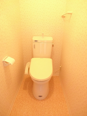 Toilet. Washlet is with ☆