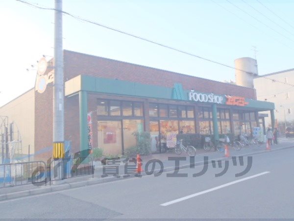 Supermarket. MG Nishigamo store up to (super) 520m