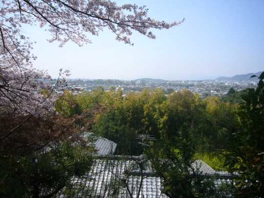 Local appearance photo. View from the site (overlooking the city)