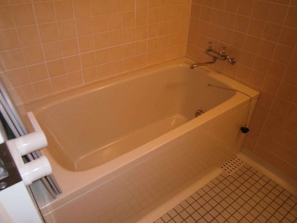 Bathroom. View from the site (July 2012) shooting