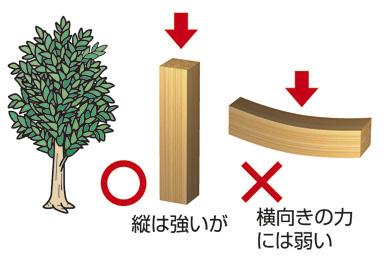 Other. Although wood is strong in the force from the vertical, It is weak in the lateral force.
