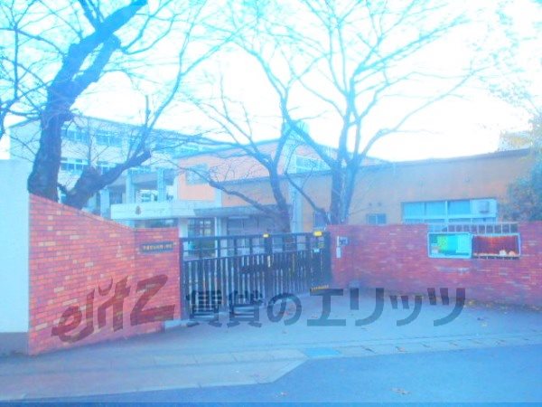 Primary school. Kukino up to elementary school (elementary school) 730m