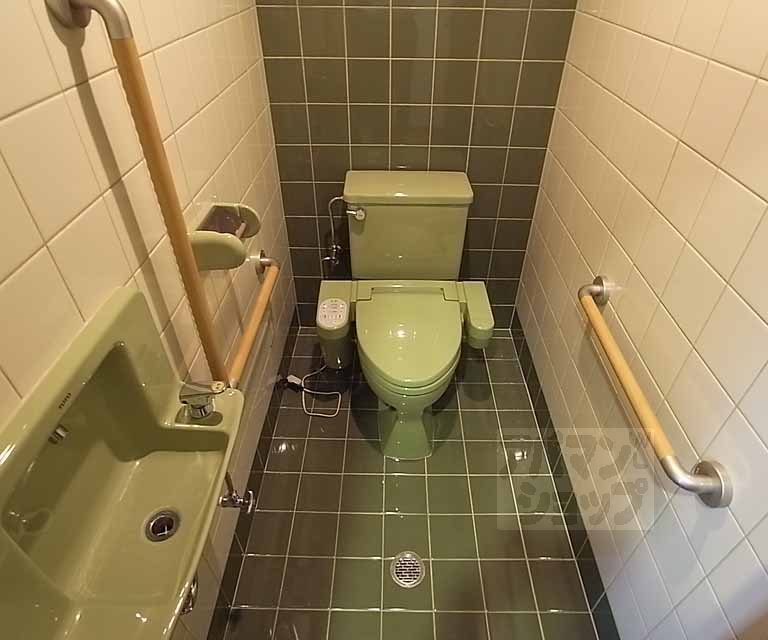 Toilet. Your toilet handrail is with. Also it comes with a separate basin.