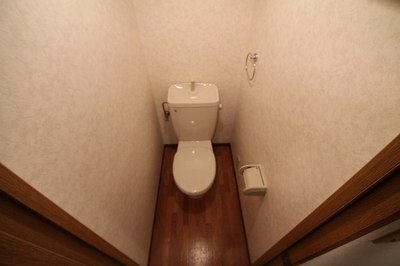Toilet. Easy-to-use interior.