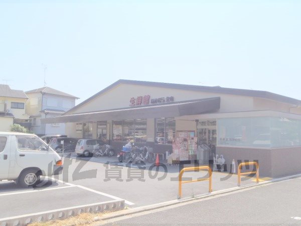 Supermarket. 400m until fresh Museum Kitayama store (Super)