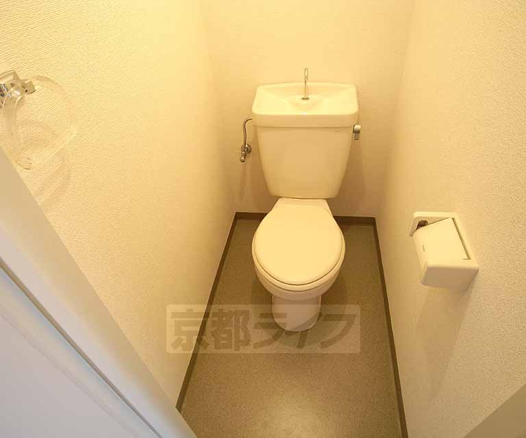 Toilet. 303, Room photo diversion