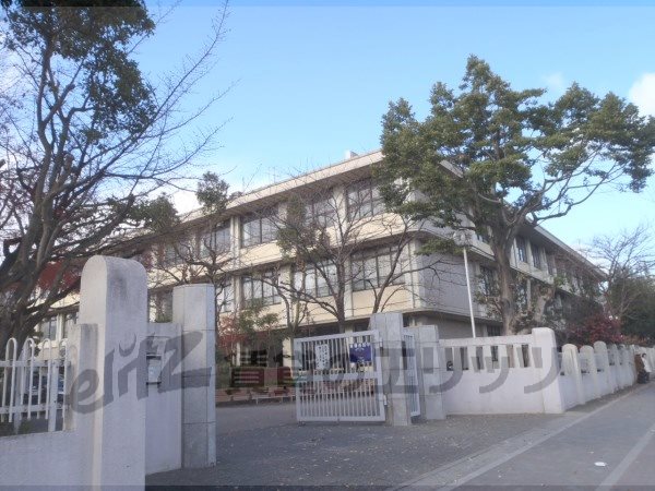 Junior high school. 530m until Kitano junior high school (junior high school)