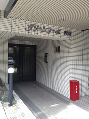 Entrance. Common areas