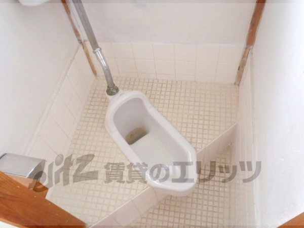 Toilet. It is a rare Japanese style is now.