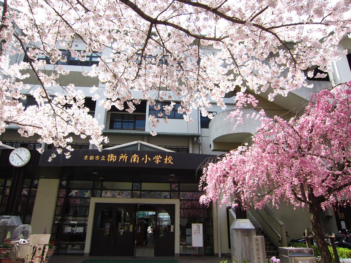 Primary school. 212m to Kyoto Municipal Imperial Palace Minami elementary school (elementary school)