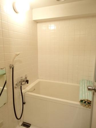 Bathroom. Indoor (12 May 2013) Shooting