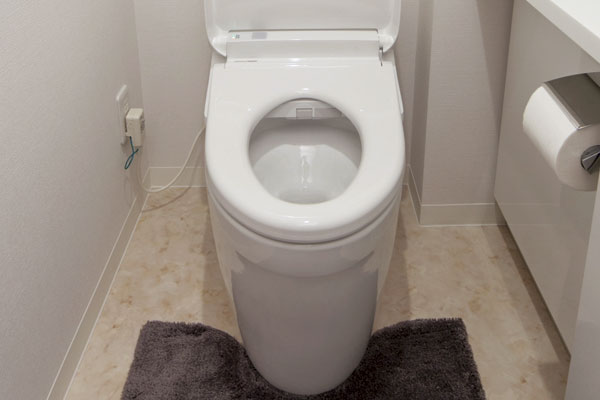 Toilet.  [Sefi on Detect toilet] Subjected to stainproofing the toilet surface, Easy to clean. Energy saving to the friendly water-saving toilets, You clean and show the space for the low tank (same specifications)