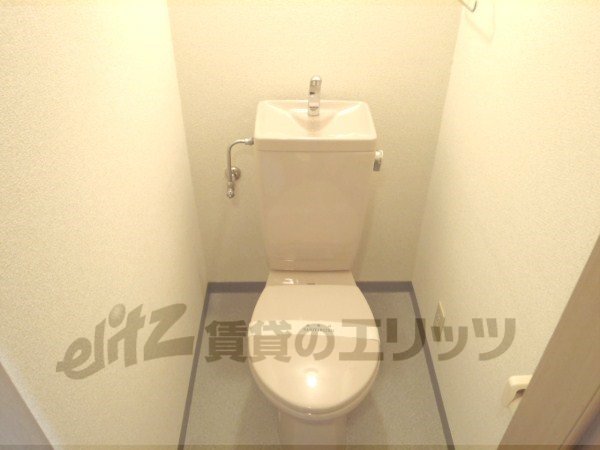 Toilet. It is a photograph of the 702 in Room.
