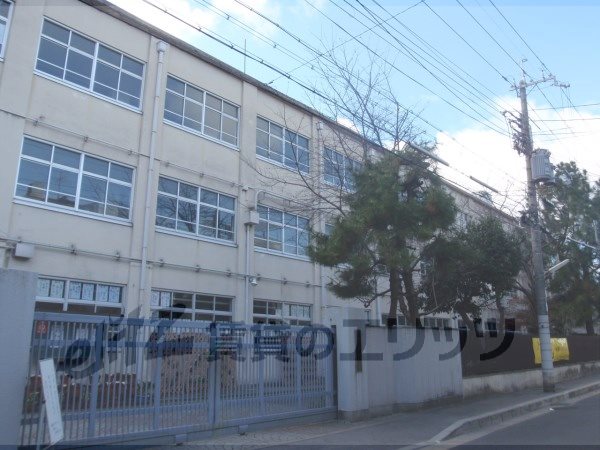 Junior high school. Suzaku 230m until junior high school (junior high school)