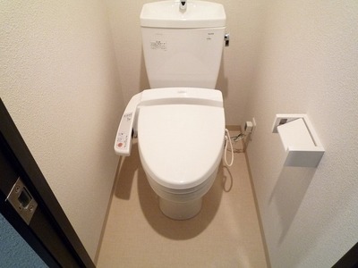 Toilet. Isomorphic Mansion Image