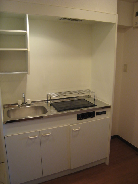 Kitchen. Two-burner stove with electric kitchen