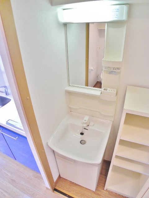 Washroom. Wash basin and shoe boxes are hidden by the door!