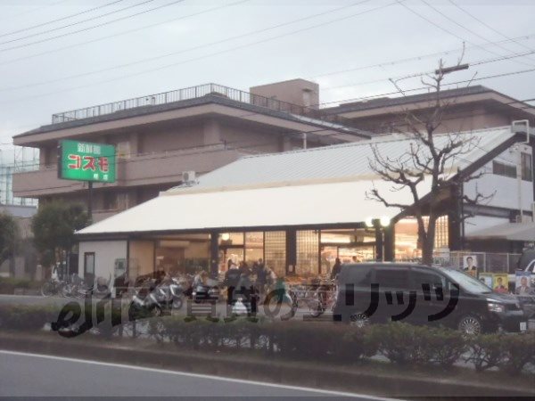 Supermarket. 360m until fresh Museum Cosmo Katsuramise (super)