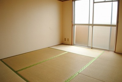 Living and room. Japanese style room