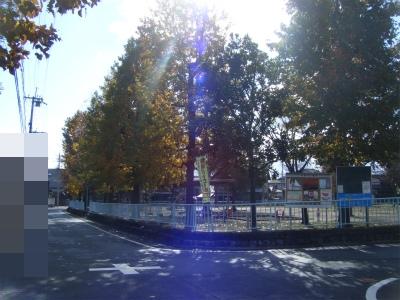 Local photos, including front road. Local (12 May 2013) Shooting. Autumn leaves children's park
