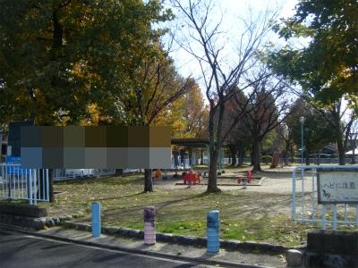 park. Autumn leaves children's park