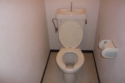 Toilet. Toilet