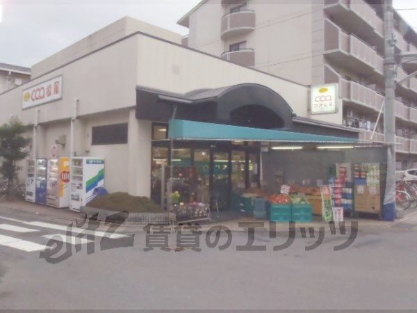 Supermarket. 520m to the core Matsuo (super)