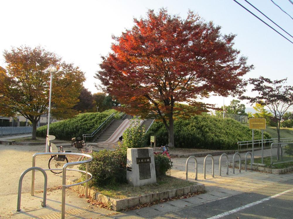 Other. Autumn leaves of UeKei park is also beautiful.
