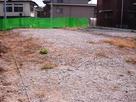 Local land photo. Local (June 2013) Shooting. Are you sure you want to home garden in the south side of your garden?