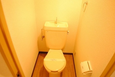 Toilet. Toilet