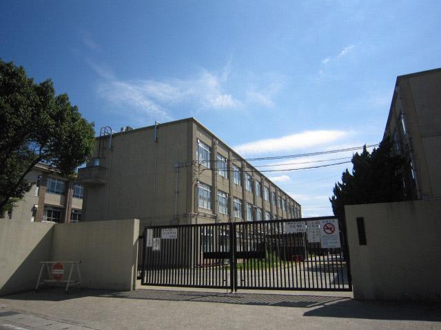 Primary school. Katsura River Elementary School