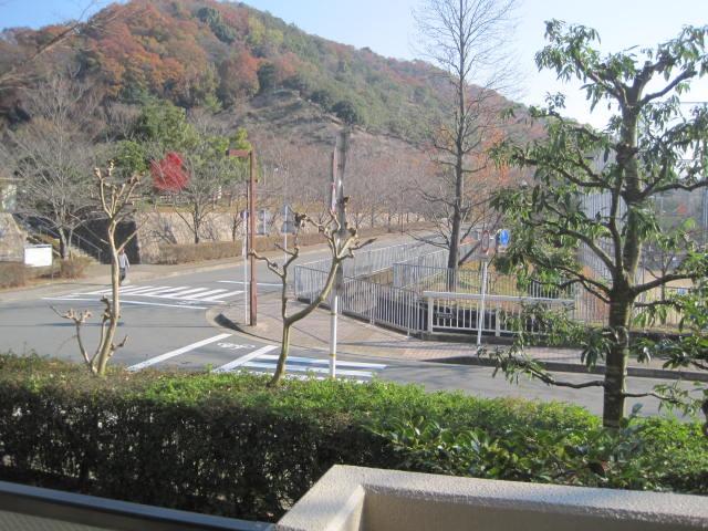 View photos from the dwelling unit. View from the site (December 2013) Shooting